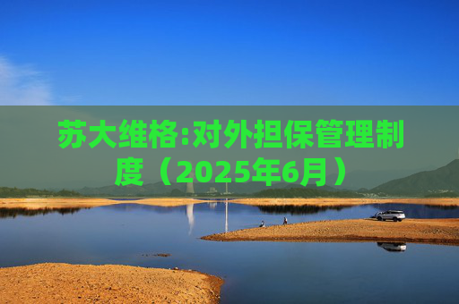 苏大维格:对外担保管理制度（2025年6月）