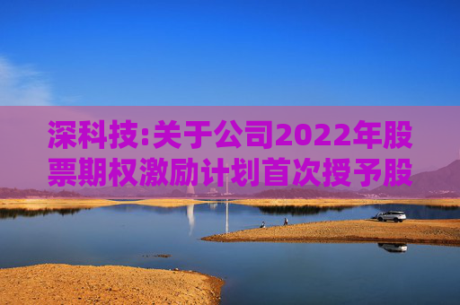 深科技:关于公司2022年股票期权激励计划首次授予股票期权第一个行权期行权条件成就的公告  第1张