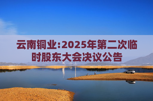 云南铜业:2025年第二次临时股东大会决议公告