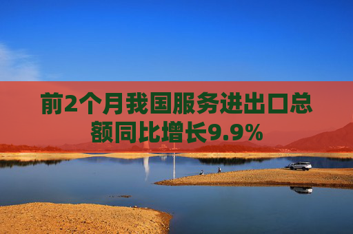 前2个月我国服务进出口总额同比增长9.9%  第1张