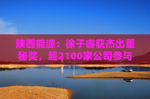 陕西能源：徐子睿获杰出董秘奖，超2100家公司参与评选