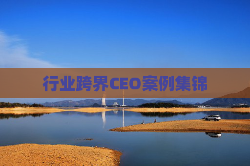行业跨界CEO案例集锦