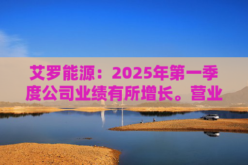 艾罗能源：2025年第一季度公司业绩有所增长。营业收入为7.99亿元  第1张