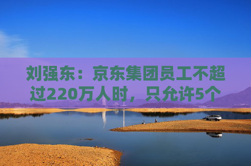 刘强东：京东集团员工不超过220万人时，只允许5个组织层级