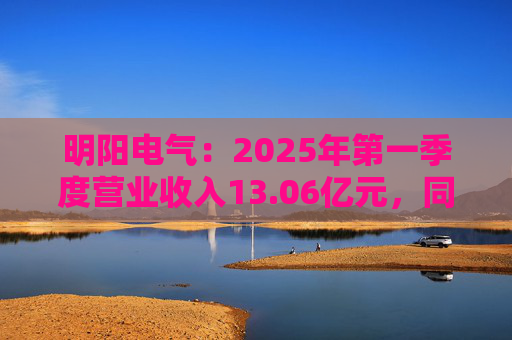 明阳电气:2025年第一季度营业收入13.06亿元,同比增长26.21% 第1张 明阳电气:2025年第一季度营业收入13.06亿元,同比增长26.21% 第1张
