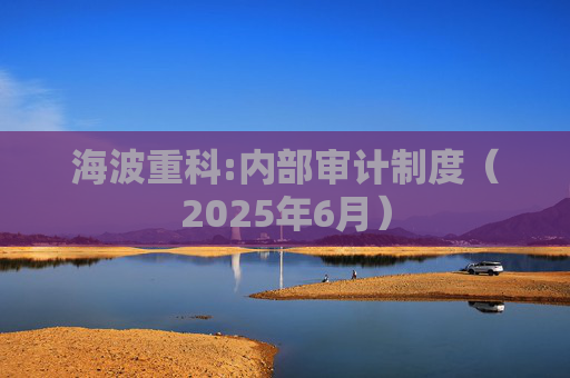 海波重科:内部审计制度（2025年6月）