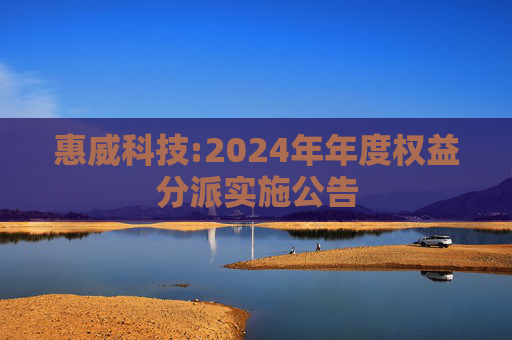 惠威科技:2024年年度权益分派实施公告  第1张