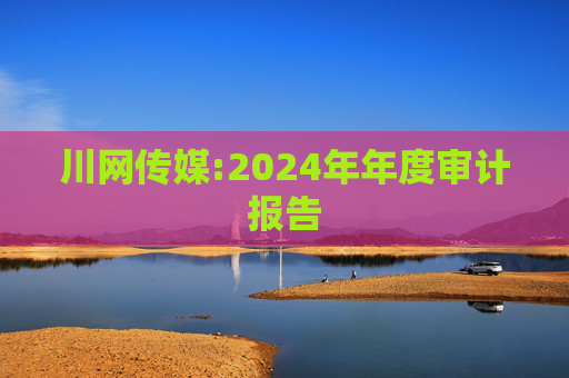 川网传媒:2024年年度审计报告