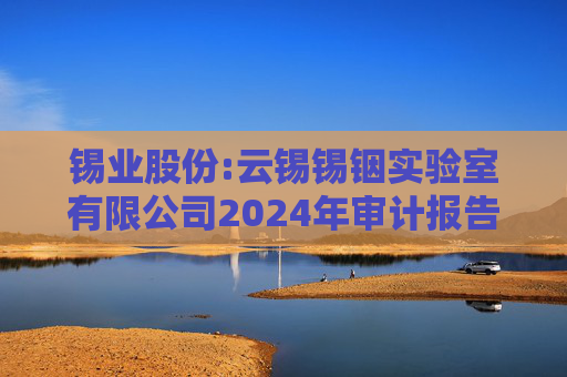 锡业股份:云锡锡铟实验室有限公司2024年审计报告  第1张
