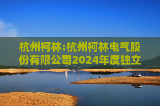 杭州柯林:杭州柯林电气股份有限公司2024年度独立董事述职报告（毛卫民）