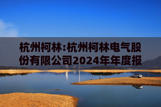 杭州柯林:杭州柯林电气股份有限公司2024年年度报告  第1张
