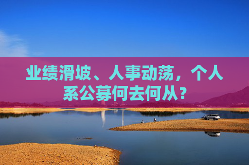 业绩滑坡、人事动荡，个人系公募何去何从？