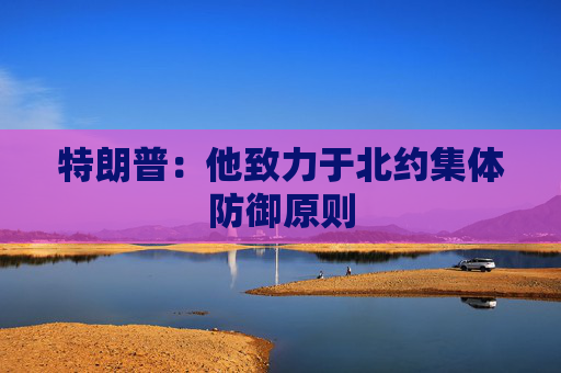 特朗普：他致力于北约集体防御原则  第1张