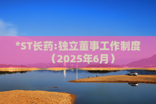 *ST长药:独立董事工作制度（2025年6月）