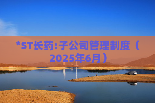 *ST长药:子公司管理制度（2025年6月）