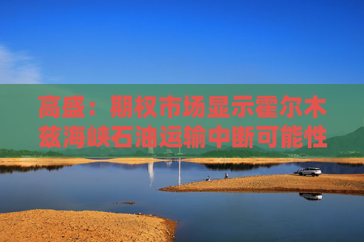 高盛：期权市场显示霍尔木兹海峡石油运输中断可能性很小