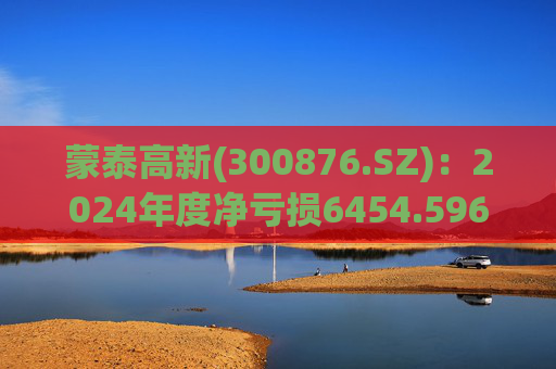蒙泰高新(300876.SZ)：2024年度净亏损6454.596万元