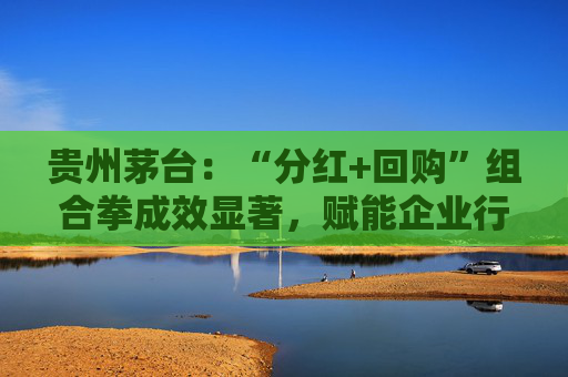 贵州茅台：“分红+回购”组合拳成效显著，赋能企业行稳致远