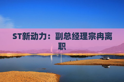 ST新动力：副总经理宗冉离职