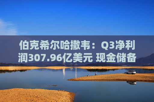 伯克希尔哈撒韦：Q3净利润307.96亿美元 现金储备达3816.7亿美元  第1张