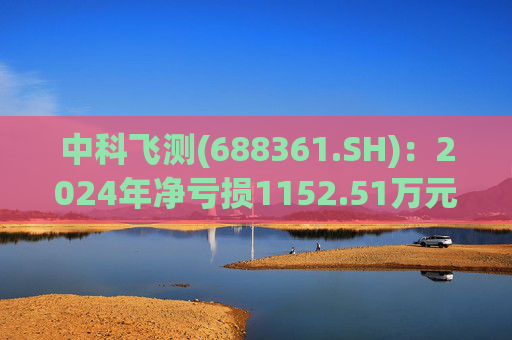 中科飞测(688361.SH)：2024年净亏损1152.51万元  第1张