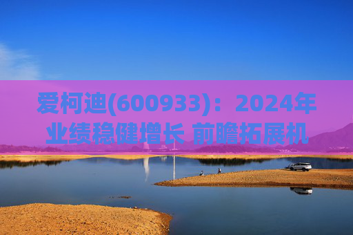 爱柯迪(600933)：2024年业绩稳健增长 前瞻拓展机器人相关业务