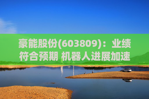 豪能股份(603809)：业绩符合预期 机器人进展加速  第1张