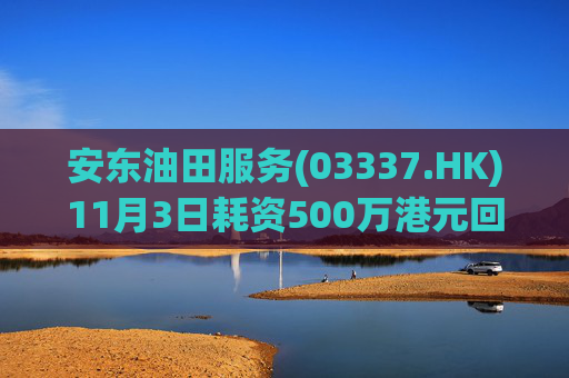 安东油田服务(03337.HK)11月3日耗资500万港元回购472万股