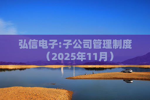 弘信电子:子公司管理制度（2025年11月）