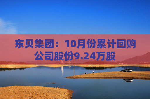 东贝集团：10月份累计回购公司股份9.24万股