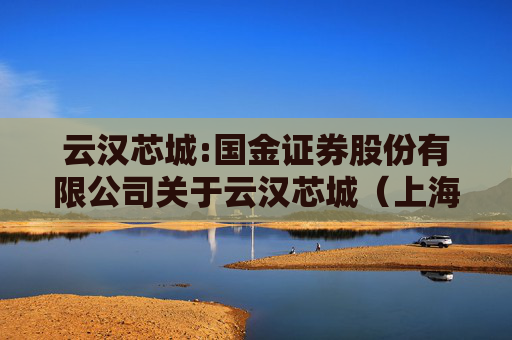 云汉芯城:国金证券股份有限公司关于云汉芯城（上海）互联网科技股份有限公司调整募投项目内部投资结构及部分募投项目新增实施主体的核查意见