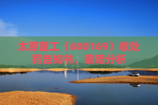 太原重工（600169）收处罚告知书，索赔分析