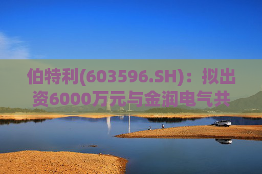 伯特利(603596.SH)：拟出资6000万元与金润电气共同投资并设立伯特利驱动