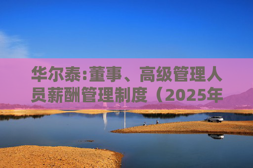 华尔泰:董事、高级管理人员薪酬管理制度（2025年11月）