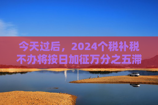 今天过后，2024个税补税不办将按日加征万分之五滞纳金