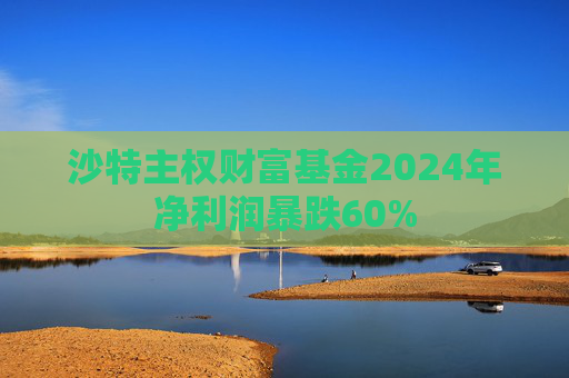沙特主权财富基金2024年净利润暴跌60%