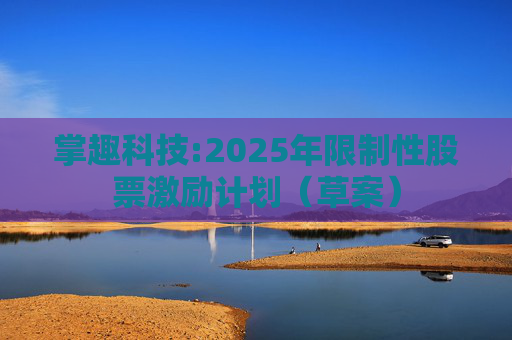 掌趣科技:2025年限制性股票激励计划（草案）  第1张