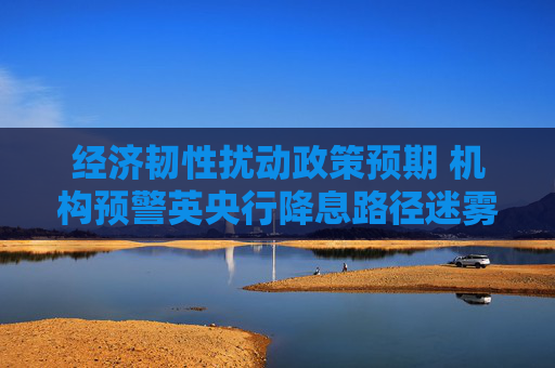 经济韧性扰动政策预期 机构预警英央行降息路径迷雾重重