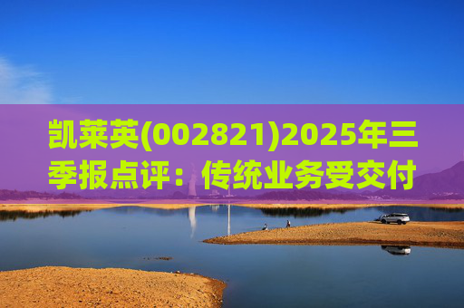 凯莱英(002821)2025年三季报点评：传统业务受交付节奏影响 新兴业务加速放量