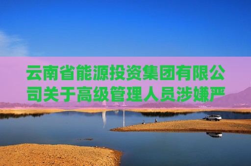 云南省能源投资集团有限公司关于高级管理人员涉嫌严重违纪违法接受审查调查的公告(1)