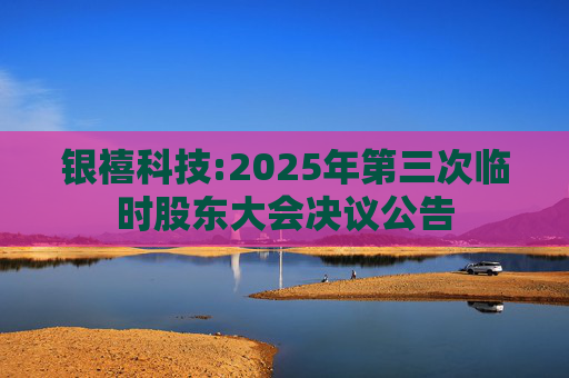 银禧科技:2025年第三次临时股东大会决议公告