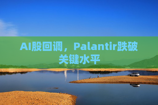 AI股回调，Palantir跌破关键水平