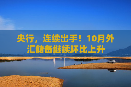央行，连续出手！10月外汇储备继续环比上升  第1张