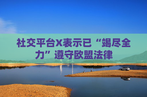 社交平台X表示已“竭尽全力”遵守欧盟法律
