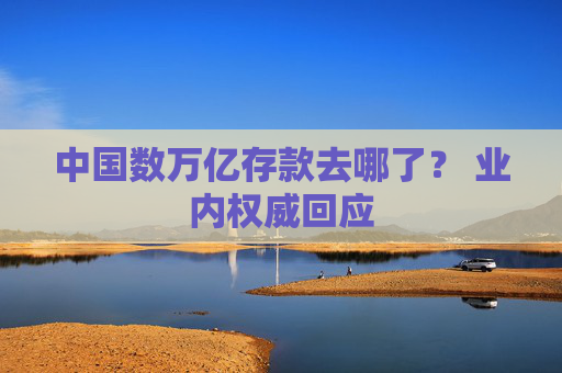 中国数万亿存款去哪了？ 业内权威回应