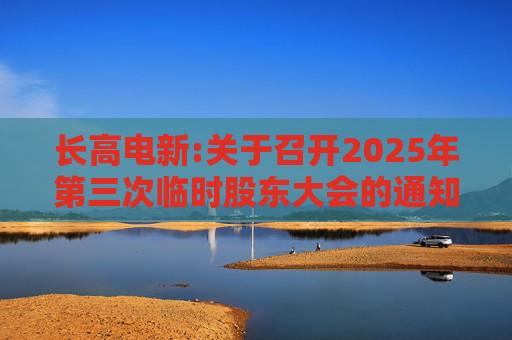 长高电新:关于召开2025年第三次临时股东大会的通知