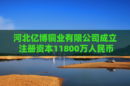 河北亿博铜业有限公司成立 注册资本11800万人民币 第1张 河北亿博铜业有限公司成立 注册资本11800万人民币 第1张