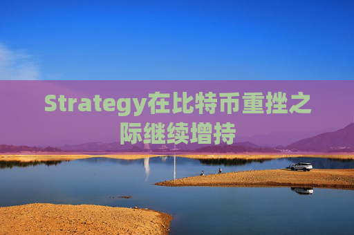 Strategy在比特币重挫之际继续增持
