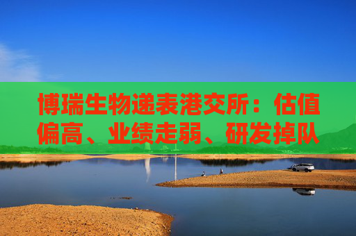 博瑞生物递表港交所：估值偏高、业绩走弱、研发掉队、内控问题频发 资本市场是否买单？