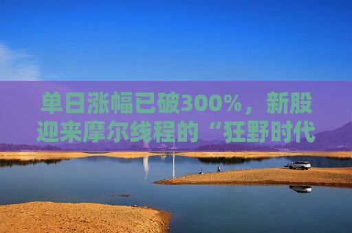 单日涨幅已破300%,新股迎来摩尔线程的“狂野时代”? 第1张 单日涨幅已破300%,新股迎来摩尔线程的“狂野时代”? 第1张